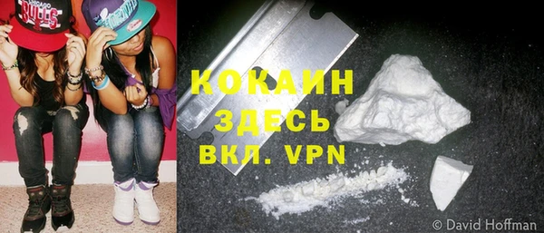 молекула духа Магадан