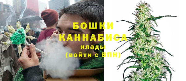 молекула духа Магадан