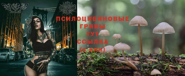 apvp Майский