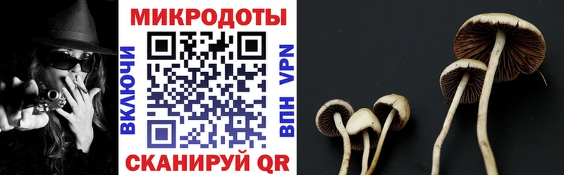 Галлюциногенные грибы Magic Shrooms  Щёлкино 